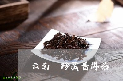 云南 珍藏普洱茶/2023041076257